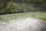 Ein j�hes Ende f�r so manche Gartenpflanze