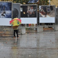 Die Ausstellung 